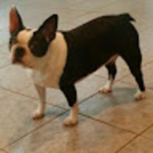 Meet your Posher, Nathan